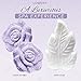 Gifts for Adults, Bath and Body Gift Set For Women – Lavender & Jasmine Home Spa Set With Double Sized Bath Bombs, Body Lotions, Bath Soap, Bubble Bath, Reusable Travel Cosmetics Bag & More