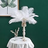 12-14 inches (30~35cm) Real Natural Ostrich Feathers Great Decorations for Home Party Wedding Centerpieces White (12-14" 10pcs)