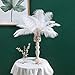 12-14 inches (30~35cm) Real Natural Ostrich Feathers Great Decorations for Home Party Wedding Centerpieces White (12-14" 10pcs) primary