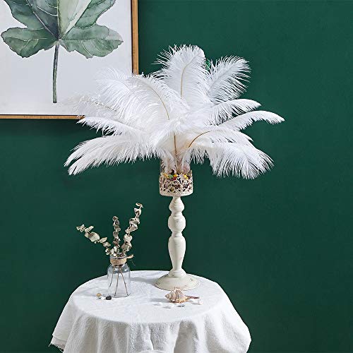 12-14 inches (30~35cm) Real Natural Ostrich Feathers Great Decorations for Home Party Wedding Centerpieces White (12-14" 10pcs)
