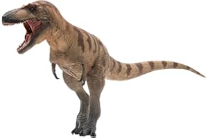 PNSO Prehistoric Dinosaur Models:73 Cole The Daspletosaurus
