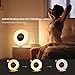 Radio Sunrise Alarm Clock, AK1980 Wake Up Light with 7 Colors Nature Sounds Snooze Function for Kids Teens Girls