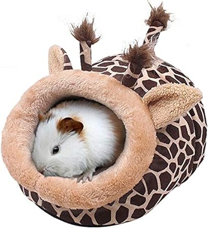 guinea pig toys amazon