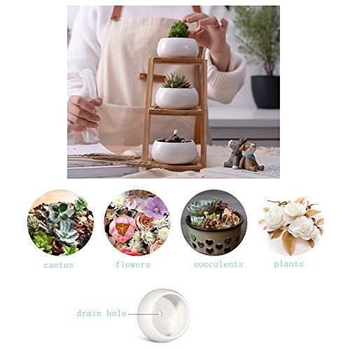 Youfui White Ceramic Succulent Plant Pot, Planter for Succulent Plants, Small Cactus and Herbs with Bamboo Tray (Round White with Stand)