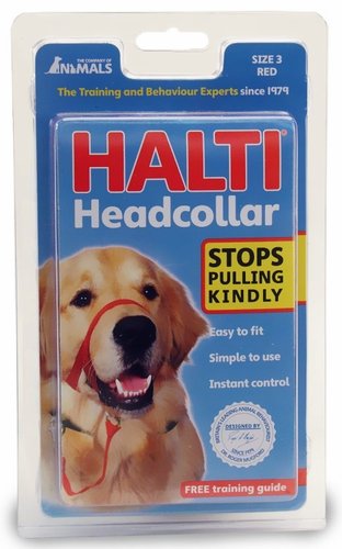 HALTI Headcollar To Stop Your Dog Pulling on the Import