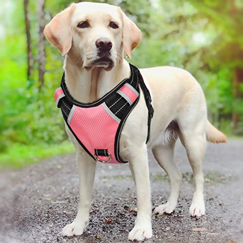 Top 10 Anti Jump Harness For Dog of 2019 TopProReviews