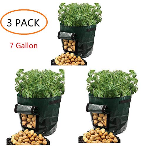 YOQXHY Potato Grow Bags 7 Gallon Garden Vegetables Planter Bags with Handles and Access Flap for Planting Potato Carrot Onion Taro Radish Peanut,3-Pack,(7 Gallon)