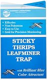 Seabright HGSLTLT 5-Count Sticky Thrip Leafminer Trap