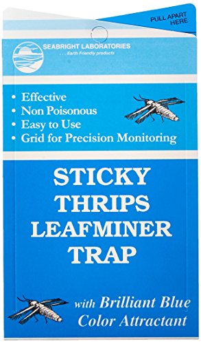 Seabright HGSLTLT 5-Count Sticky Thrip Leafminer Trap