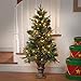 National Tree Company Pre-lit Artificial Christmas Tree For Entrances | Includes Pre-strung White Lights and Stand | Colonial - 4 ft, Green