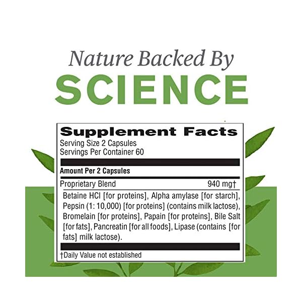 Nature’s Sunshine Food Enzymes, 120 Capsules Digestive Enzymes with