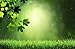 Pre-Seeded yard patch grass kit -GRN100- 40-Foot by 30-Inch Roll Out Grass, 100 SqFt coverage-by Garden Innovations