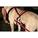 Ultra Paws Adjustable Pulling Harness - Large/Dogs 30-75 lbs