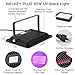 WELKEY PLUS 2 Pack 80W UV LED Black Light Flood Light with Plug(6ft Cable), IP66 Waterproof, for Blacklight Party, Stage Lighting, Aquarium, Body Paint, Fluorescent Poster, Neon Glow, Glow in The Dark