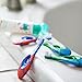 Farber Baby | Toddler Toothbrush (4 Pack) - Extra Soft Bristles, BPA Free, Soothing Teething Nub Ring Handle, 0-2 Years (Blue/Green)