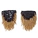 Anrosa Kinkys Curly Clip in Hair Extensions Human Hair 3C 4A Afro Kinky Curly Clip ins Natural Hair Real Remy Thick Human Hair Extensions for Black Women (16 inch, Ombre #1B/27)