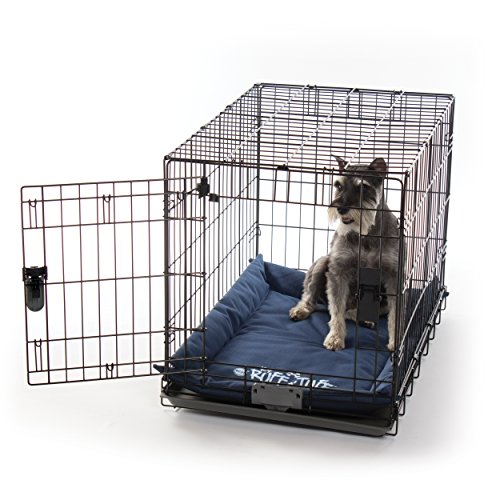 Compare price to chew proof crate pad