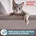 I-pure items Cat Scratch Deterrent Tape - Anti-Scratch Cat Training Tape - 3 inches x 30 Yards Double Sided Carpet Protector Pet Tape for Carpet, Furniture, Couch, Door