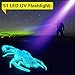 UV Flashlight Black Light, Edbella 51 LED 395 nM Ultraviolet Blacklight Detector for Dry Dog Urine, Pet Stains and Bed Bug
