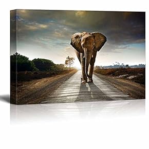 Large Elephant Walking Behind a Dark Cloudy Sky Wall Decor