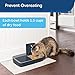 PetSafe Automatic 2 Meal Dog and Cat Feeder, Dispenses Dog Food or Cat Foodthumb 1