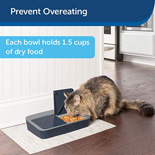 Petsafe Digital 2 Meal Feeder For Dog Tiendamia Com