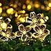 ECOWHO Solar String Lights, 23ft 50 LED Waterproof Fairy Lights Outdoor Starry Lights for Patio, Garden, Party, Yard, Gate, Christmas (Warm White)