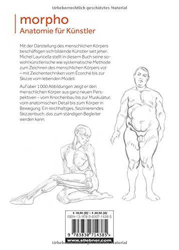 Morpho Anatomie Fur Kunstler Buy Online In Aruba At Aruba Desertcart Com Productid 77670228