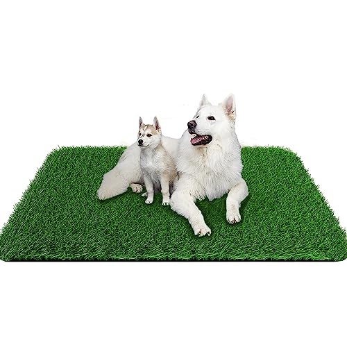 Pick for Life Artificial Turf