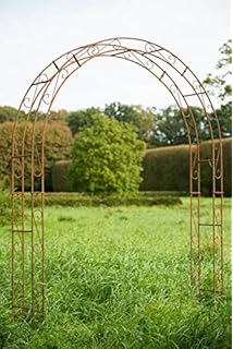 Gaas Tuin En Terras Rankbogen Garten Grun Rundbogen Torbogen Rankgerust Metall Rosenbogen Mit Tor Gamestingr Com