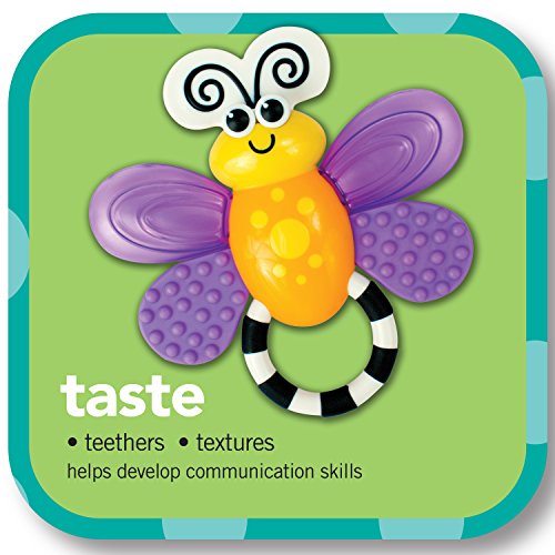 sassy inspire the senses bounce around