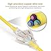 SIMBR 100 FT 12/3 Extension Cord Outdoor/Indoor, Heavy Duty Electrical Cord with Lighted 3 Outlets, 3 Prong, 15 Amps, UL Listed, SJTW - Power Your Household, Office and Garden Electric Appliance