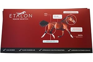 ETALON DIAGNOSTICS Etalon Equine Genetics Pro Package Horse DNA Test - Genetic Testing Kit (70+ Traits) to Identify Equine DNA - Test for Coat Color & Patterns, Disease Risk, Abilities & Performance Genetics & More