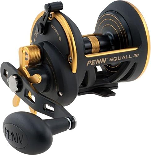 Penn Squall Star Drag Conventional Reel