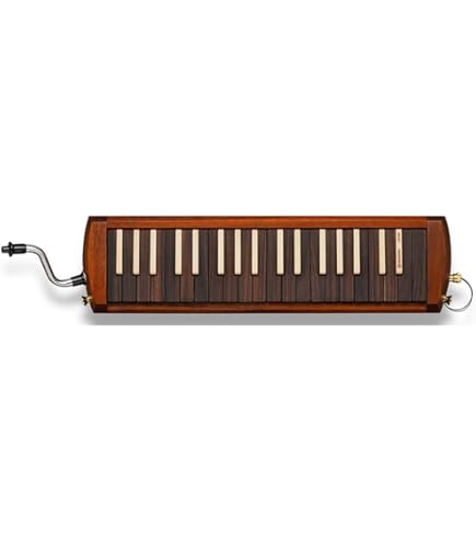 Amazon.com: Suzuki B-24 Bass Melodion : Musical Instruments