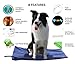 Pet Heating Pad Electric Heating Blanket for Cats and Dogs -Lumcrissy LED indicating Waterproof Adjustable Warming Mat Bed Blanket with Chew Resistant Steel Cord (11.8 X 15.7 IN, Blue)