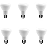 EcoSmart 50-Watt Equivalent R20 Dimmable Energy Star LED Light Bulb Soft White (6-Pack)