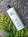 Earth Vibes Natural Oatmeal Dog & Cat Pet Shampoo & Conditioner, Dry Itchy Skin Relief for Dogs, Cats & Pets, Calming Aloe Vera, Made in USA, 16oz