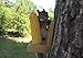 Elegant Platform Squirrel Feeder