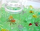 Creepy Crawlers Discovery Kit for Sensory Play (No Box)