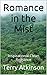 Romance in the Mist: A Story about Building Relationships - Inspirational, Clean Romance