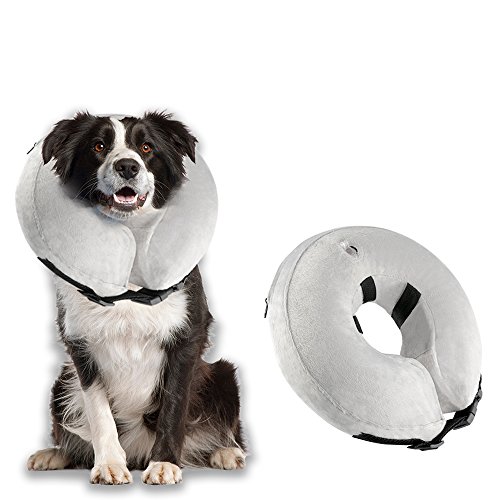 protective dog collars after surgery