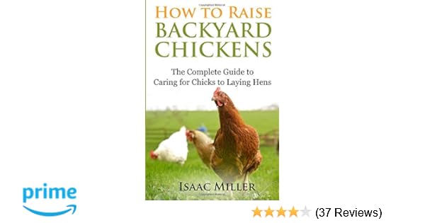 How To Raise Backyard Chickens The Complete Guide To Caring For
