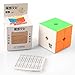 Coogam Moyu Weipo Speed Cube 2x2 Puzzle Cube Stickerless