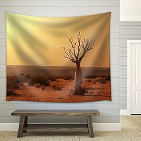 Dead Valley in Namibia - Fabric Wall Tapestry Home Decor - 51x60 inches