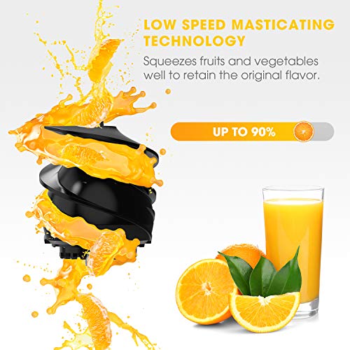 Juicer Machines, Vestaware Slow Masticating Juicer Extractor, Easy to Clean Juicer with Quiet Motor, BPA-Free Cold Press Juicer for Vegetables and Fruits - Thumbnail 3