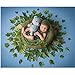 Newborn Photography Props, Newborn Photo Props, Photo Donut （20