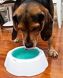 Plush Home Frosty Pet Water Bowl, Maintains Water Fresh and Cold For Up To 8 Hours, 16 Ounce Capacity, Perfect Solution For The Summer Heat