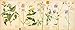 A Victorian Flower Album