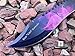 Monogram Knife, Custom Knife, Hunting Bowie, Military Tactical, Personalized Knife, Engraved Knife, CSGO Razor Fixed Blade JUNGLE KNIFE (Purple)
